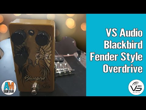 VS Audio Blackbird Demo 1