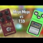 TC Electonics Mojo Mojo vs Ibanez TS9 – No Words, Just Overdrive